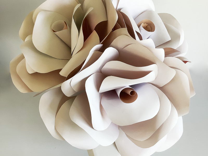 Giant Paper Rose